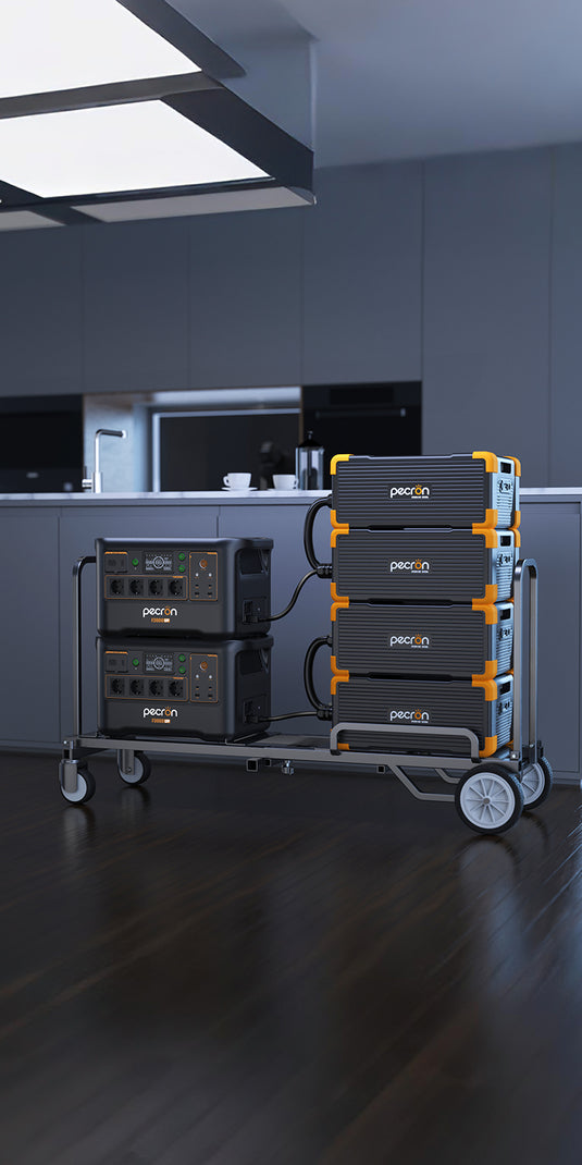 New products launched